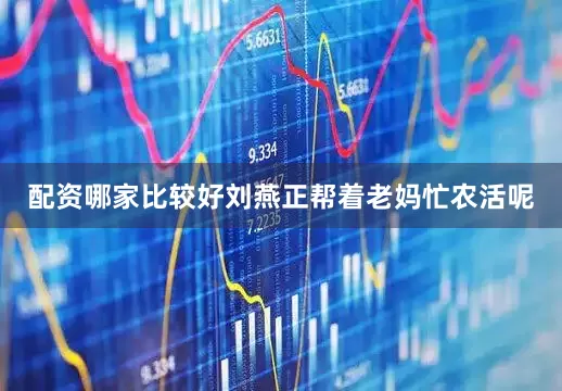 配资哪家比较好刘燕正帮着老妈忙农活呢