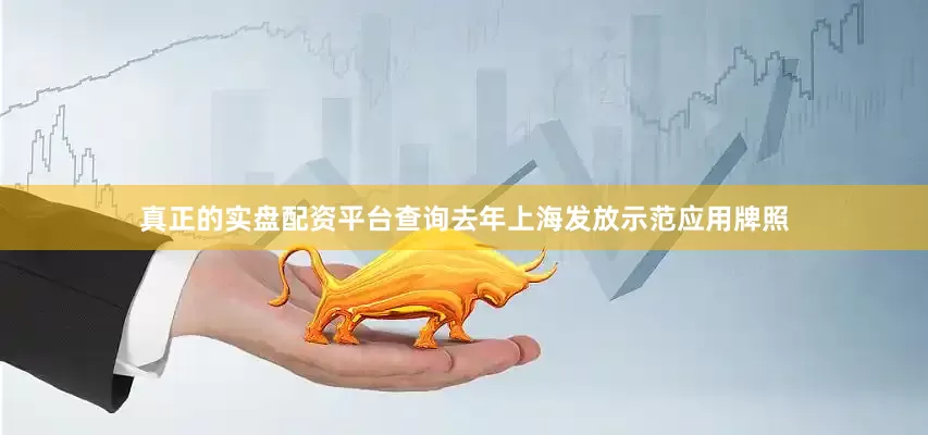 真正的实盘配资平台查询去年上海发放示范应用牌照