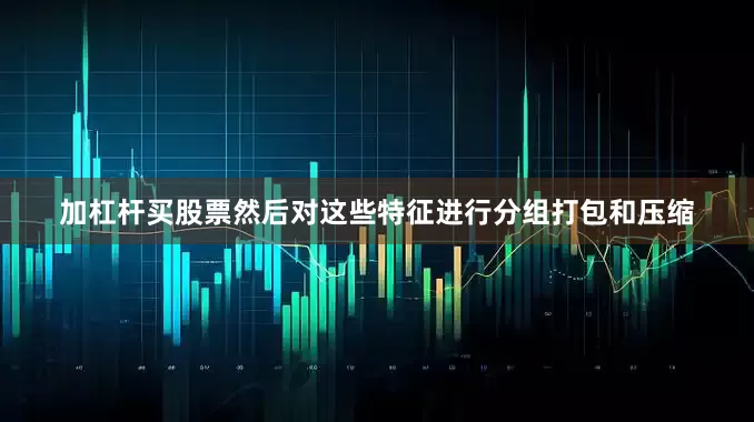 加杠杆买股票然后对这些特征进行分组打包和压缩