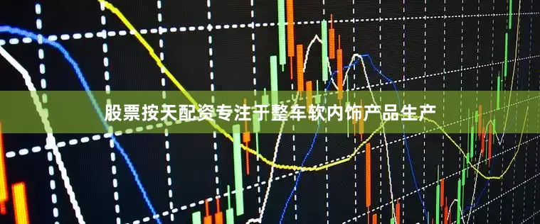 股票按天配资专注于整车软内饰产品生产